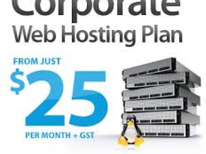 Webhosting / Email